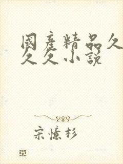 国产精品久久久久久小说