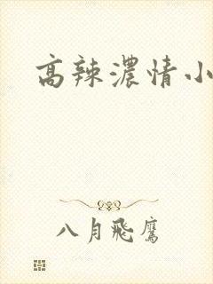 高辣浓情小说