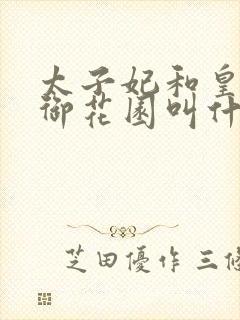 太子妃和皇帝在御花园叫什么小说