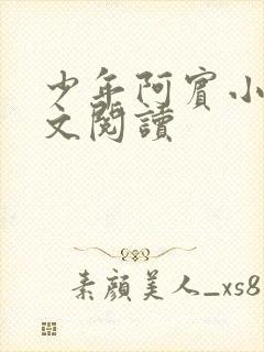 少年阿宾小说全文阅读