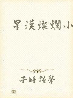 星汉灿烂小说
