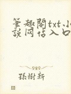 笔趣阁txt小说网站入口