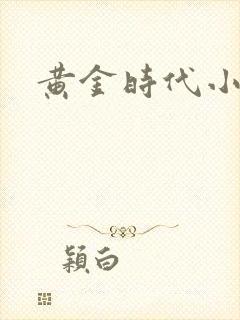 黄金时代小说