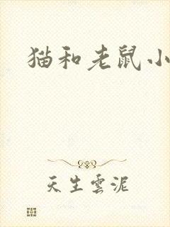 猫和老鼠小说