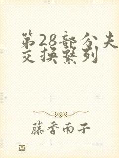 第28部分夫妇交换系列