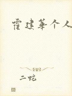 霍建华个人简历