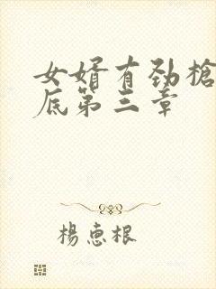 女婿有劲枪枪到底第三章