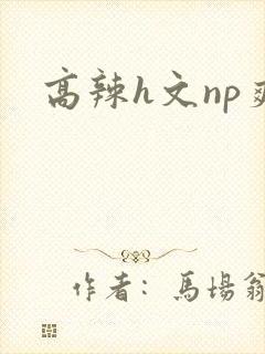 高辣h文np爽