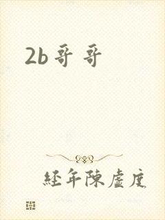 2b哥哥