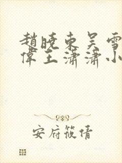 赵晓东吴雪晴郑伟王潇潇小说名字