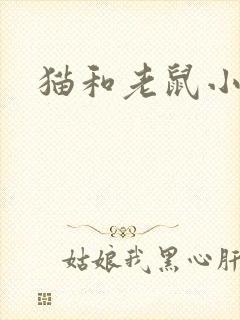 猫和老鼠小说