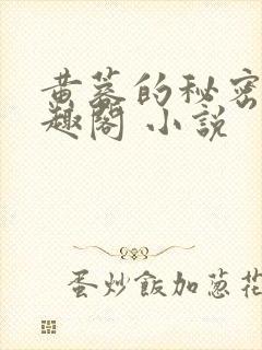 黄蓉的秘密 笔趣阁 小说