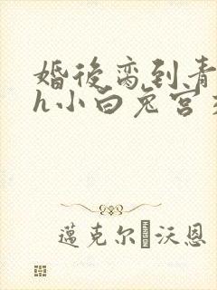 婚后脔到青梅哭h小白兔宫交h