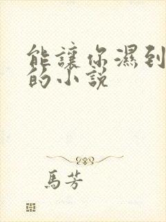 能让你湿到不行的小说