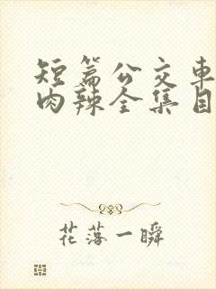 短篇公交车高h肉辣全集目录