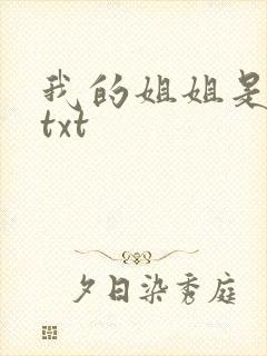 我的姐姐是美女txt