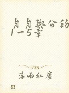 月月与公的激情1一5章