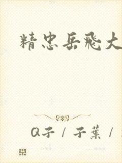 精忠岳飞大结局