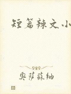 短篇辣文小说