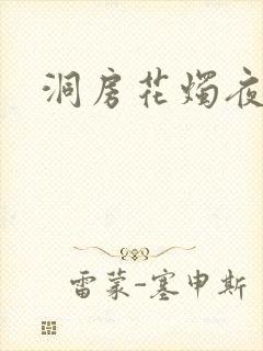 洞房花烛夜小说