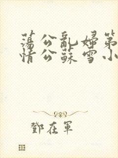 荡公乱妇第1章情公苏雪小说