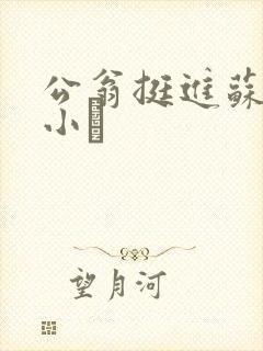公翁挺进苏玥的小泬