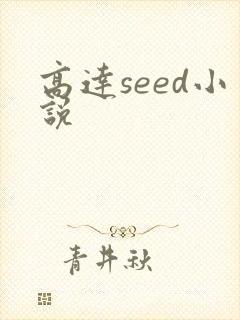 高达seed小说