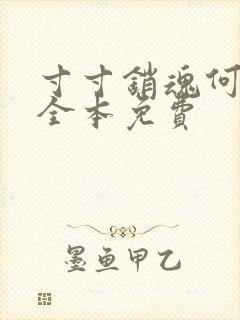 寸寸销魂何生祥全本免费