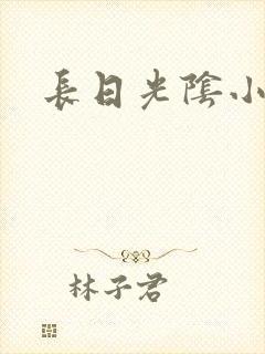 长日光阴小说