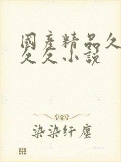 国产精品久久久久久小说