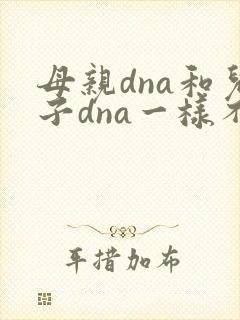 母亲dna和儿子dna一样不