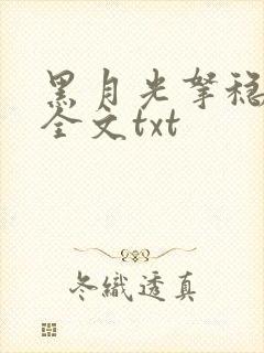 黑月光拿稳小说全文txt