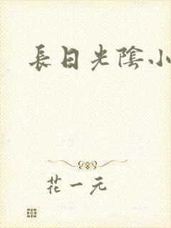 长日光阴小说