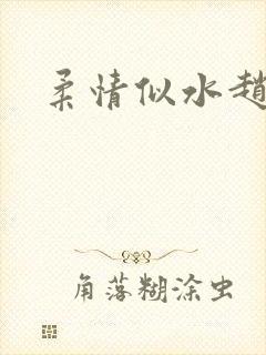 柔情似水赵雅儿