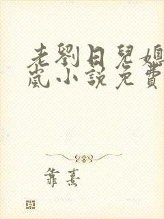老刘日儿媳妇张岚小说免费阅读