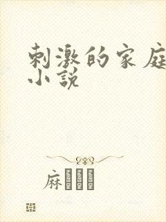 刺激的家庭乱仑小说