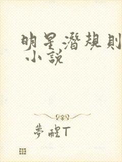 明星潜规则之皇 小说