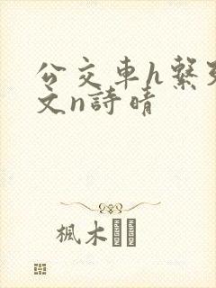 公交车h系列辣文n诗晴