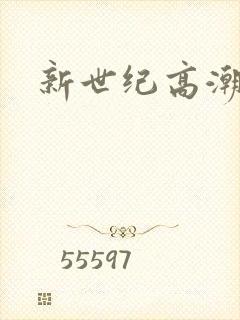 新世纪高潮战队