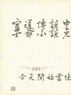 官道传说中的太子爷小说免费阅读