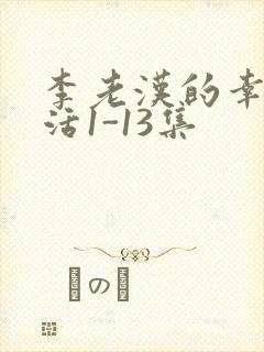 李老汉的幸福生活1-13集
