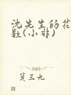 沈先生的花式调数(小非)