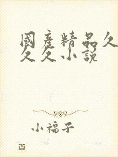 国产精品久久久久久小说