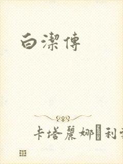 白洁传