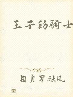 王子的骑士