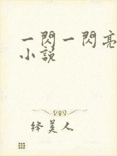 一闪一闪亮星星小说