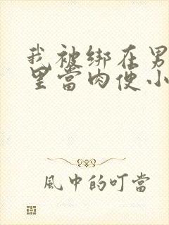 我被绑在男公厕里当肉便小说