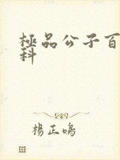 极品公子百度百科