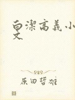 白洁高义小说全文