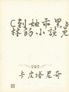 C到她乖黑暗森林的小说免费